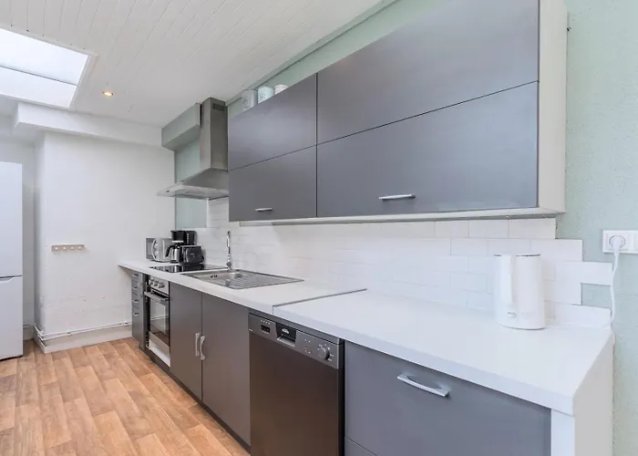 Guest house 4 Bedroom & 4 Bathroom House Near Parc Barbieux Roubaix